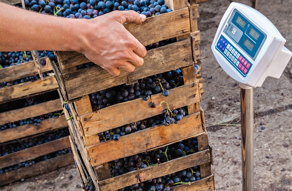 weighing system