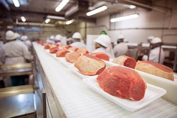 Automated Rejection Weighing System in a Meat Plant Web raw meat on conveyor to undergo quality control testing on automated rejection weighing system