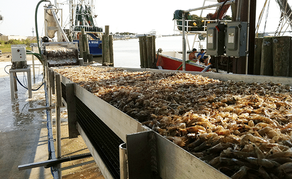 Dockmate bulk weigher in use on dock