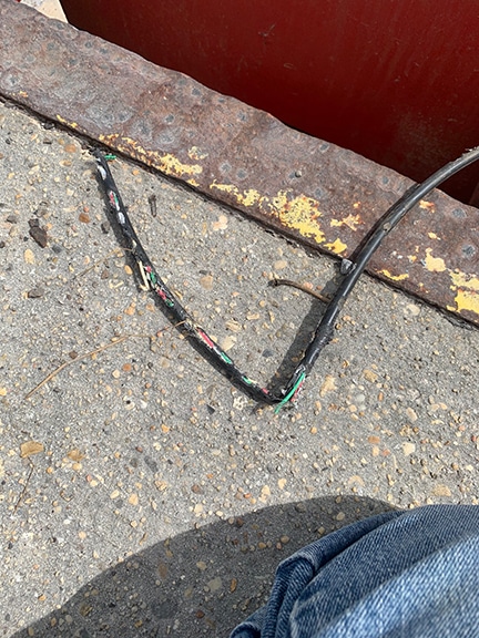 Scale wire chewed through by rabbit Scale wire chewed through by rabbit
