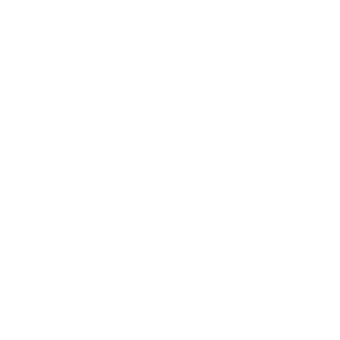 U.S. Navy Logo 5x5