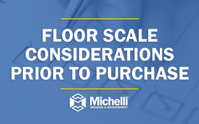 Floor Scale Considerations Prior to Purchase