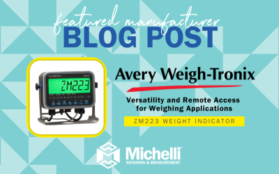 ZM223 Weight Indicator: Versatility and Remote Access for Weighing Applications