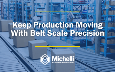Keep Production Moving With Belt Scale Precision