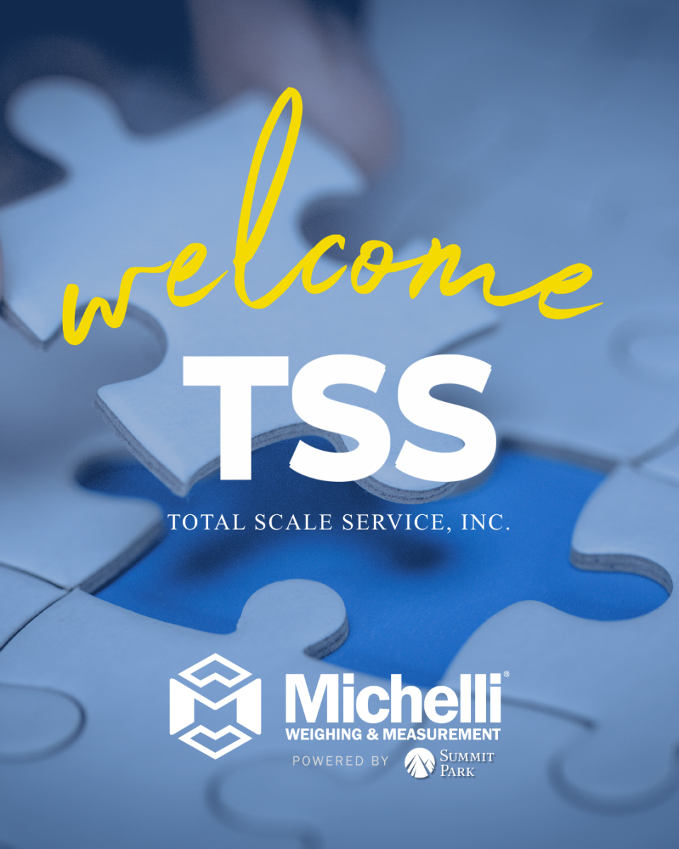 Welcome Scale South to the Michelli team with puzzle pieces on a light blue background