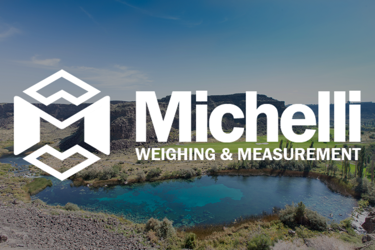 Pocatello, ID Michelli logo with Pocatello, Idaho landscape in the background.